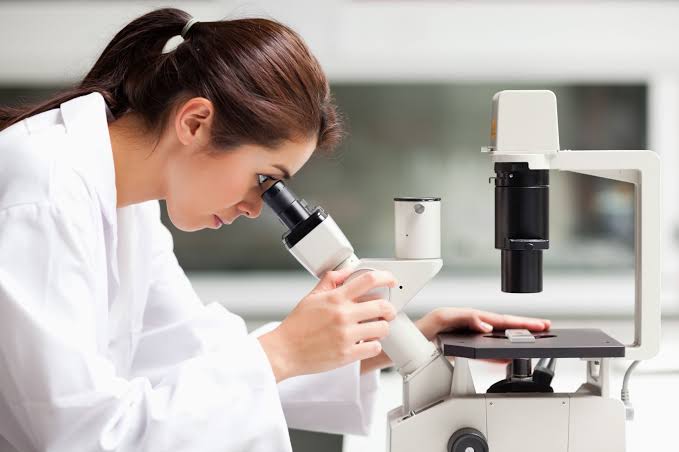 a student is watching a sample by using the opxica microscope