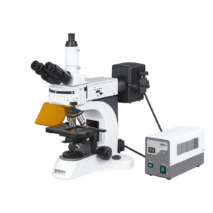 Fluorescence Microscope FM-110 with trinocular head, fluorescence illumination system, and research-grade optical components for laboratory diagnostics and biological analysis.