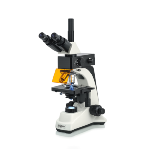 Fluorescent Microscope FM-111 featuring trinocular head, LED fluorescence illumination, plan achromatic optics, and precision focusing system for laboratory applications.