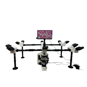 Deca Head Microscopes