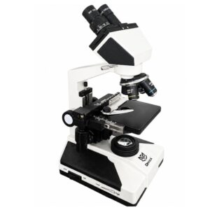 Binocular Microscopes
