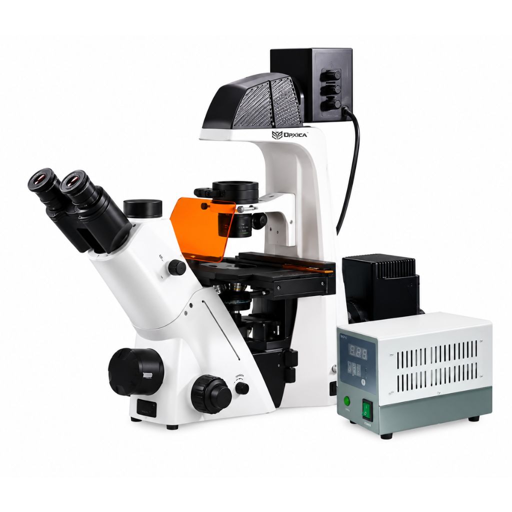 Fluorescence Microscope