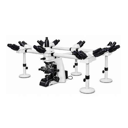 DECA HEAD MICROSCOPE OPX-129